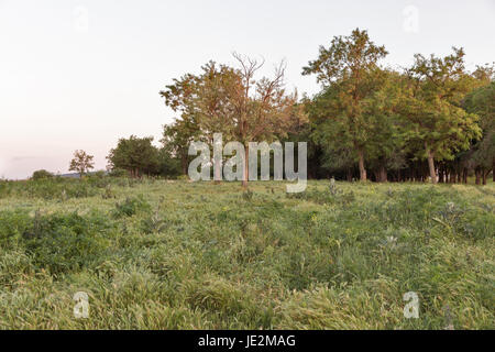 Mertvovid Flussufer Landschaft in der Stadt Wosnesensk bei Sonnenuntergang, Ukraine. Stockfoto