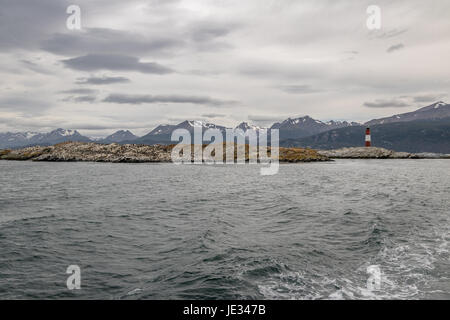 Kormorane (Seevögel) Insel und Leuchtturm - Beagle-Kanal, Ushuaia, Argentinien Stockfoto