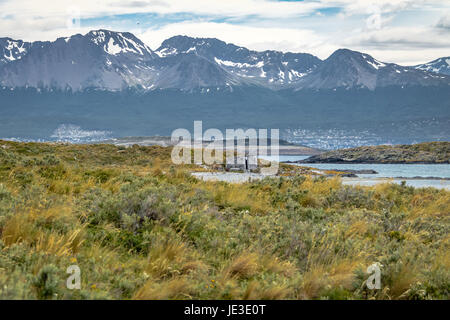 Holzhaus in Ansicht der Insel und Berge im Beagle-Kanal - Ushuaia, Feuerland, Argentinien Stockfoto