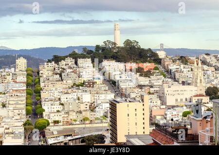 Coit Tower, aka der Lillian Coit Memorial Tower auf dem Telegraph Hill Viertel von San Francisco, California, Vereinigte Staaten von Amerika. Ein Blick auf die Flutted weißen Turm von Lombard Street. Stockfoto