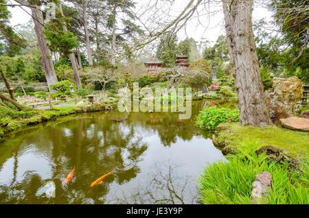 Der japanische Teegarten im Golden Gate Park in San Francisco, California, Vereinigte Staaten von Amerika. Ein Blick auf die native japanischer und chinesischer Pflanzen und Teich mit Koi-Karpfen, die eine entspannende Landschaft zu schaffen. Stockfoto