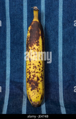 Reife Banane vor einem blauen Hintergrund. Stockfoto