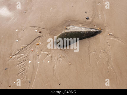 Kieselsteine am Strand Stockfoto