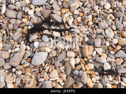 Kieselsteine am Strand Stockfoto