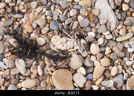 Kieselsteine am Strand Stockfoto