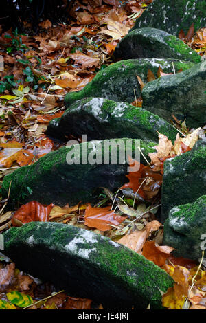 Grabsteine von robuster Baum in St Pancras Gardens, St. Pancras, London, UK Stockfoto