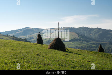 Sommer Landschaft in den ukrainischen Karpaten der Weißstorch steht auf dem Heuhaufen. Stockfoto