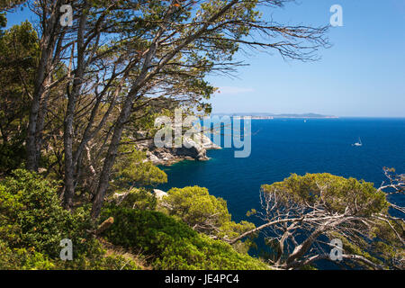 Wandern auf dem "Sentier du littoral" auf der Presqu'Île de Giens, Frankreich Stockfoto