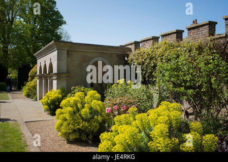 Teil des Gartens an Walmer Castle Deal Kent zeigt krautige Pflanzen mit blühenden Euphorbia Königin Mütter Stockfoto