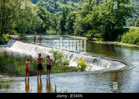 Schwimmer und Sonnenanbeter genießen das Wasser beim Warleigh Wehr am Fluss Avon in der Nähe von Bath in Somerset. Stockfoto