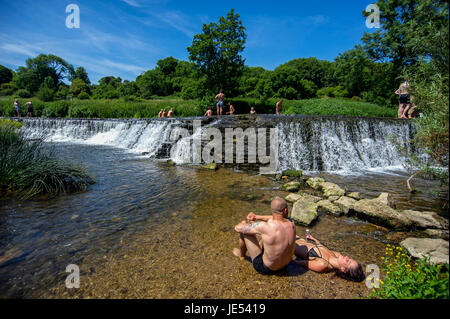 Schwimmer und Sonnenanbeter genießen das Wasser beim Warleigh Wehr am Fluss Avon in der Nähe von Bath in Somerset. Stockfoto