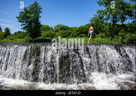 Schwimmer und Sonnenanbeter genießen das Wasser beim Warleigh Wehr am Fluss Avon in der Nähe von Bath in Somerset. Stockfoto