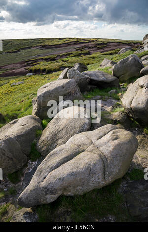 Regal Steinen auf Bleaklow, einer Fläche von Moorlandschaft in der Nähe von Glossop in Dark Peak, Derbyshire, England. Stockfoto