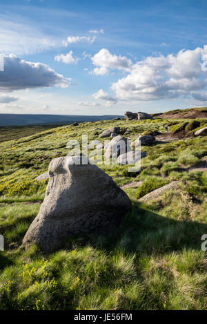 Regal Steinen auf Bleaklow, einer Fläche von Moorlandschaft in der Nähe von Glossop in Dark Peak, Derbyshire, England. Stockfoto