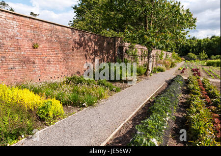 Rhosygilwen Mansion, Cilgerran, Pembrokeshire, Wales, UK. Die viktorianischen Garten Küche Stockfoto