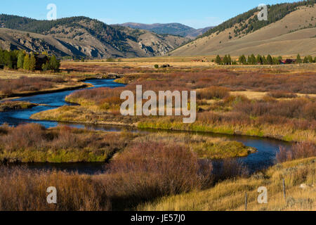 Der Lachs Fluss schlängelt sich durch ein Weide-gefüllte Tal am Rande von Stanley, Idaho. USA Stockfoto