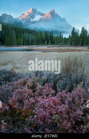 Mount McGowan erhebt sich über der Huckleberry und sumpfige Wiese in der Nähe von Stanley See der Sawtooth Mountains in Idaho. Fallen. Stockfoto