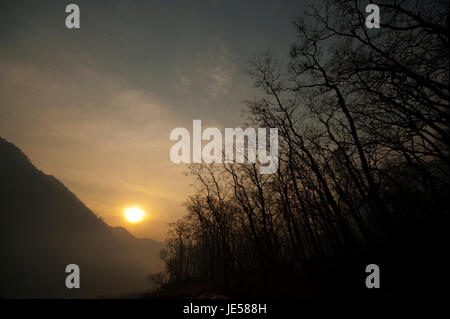 Sal Wald am frühen Morgen am Sarda River in der Nähe von Chuka Dorf. Chuka Dorf wurde von Jim Corbett in seinem Buch Maneaters Kumaon berühmt gemacht Stockfoto