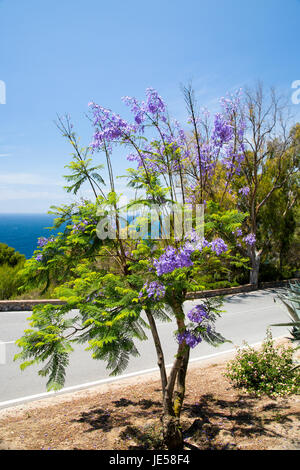 La Herrudara, Andalusien, Spanien, Costa Del Sol Stockfoto