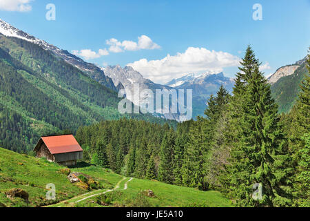 Landschaft mit Häusern und roten Dächern in den Schweizer Alpen Stockfoto