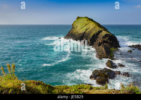 An der felsigen Küste in Sao Rogue auf Sao Miguel Island. Die Insel Sao Miguel ist Teil der Azoren Archipel, Portugal Stockfoto