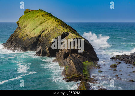 An der felsigen Küste in Sao Rogue auf Sao Miguel Island. Die Insel Sao Miguel ist Teil der Azoren Archipel, Portugal Stockfoto