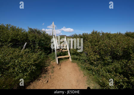 Hölzerne Bauer Stil zwischen Feldern auf Islands Snaefellsness Halbinsel mit vulkanischer Schlackenkegel in Ferne. Stockfoto