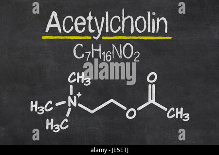 Schiefertafel Mit der Chemischen Formel von Acetylcholin Stockfoto