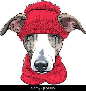 Vektor der italienische Windhund Hunderasse Stock Vektor