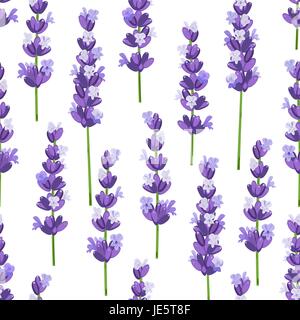 Nahtlose Muster der Provence violett Lavendel Blumen auf weißem Hintergrund. Vektor-Illustration. Stock Vektor