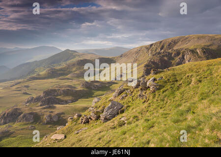 Sommer Sonnenaufgang Landschaft in den Bergen der Karpaten, auf Transalpina Bergstraße, Rumänien. Rosa Rhododendron Blüten auf Bergsommer Stockfoto