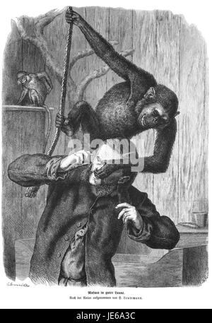 Eine Seite aus „die Gartenlaube“ (1874), einer populären deutschen Illustrationszeitschrift, die die kulturellen und sozialen Themen der damaligen Zeit präsentiert. Stockfoto
