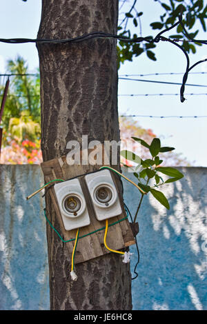 elektronische Schaltung in einem Baum stecken Stockfoto