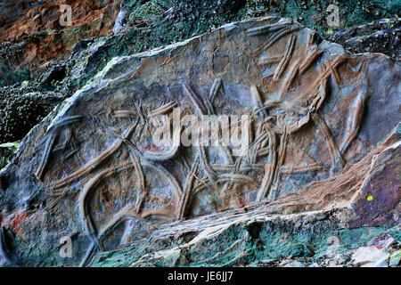 Spurenfossilien, auch genannt Ichnofossils, sind geologische Aufzeichnungen über biologische Aktivität. Geologischen Park Penha Garcia, Portugal Stockfoto