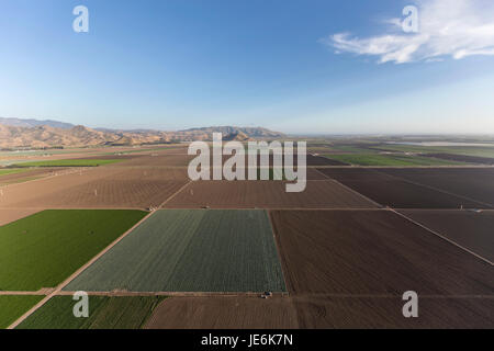 Luftaufnahme der Küste Bauernhof-Feldern in der Nähe von Camarillo in Ventura County, Kalifornien. Stockfoto