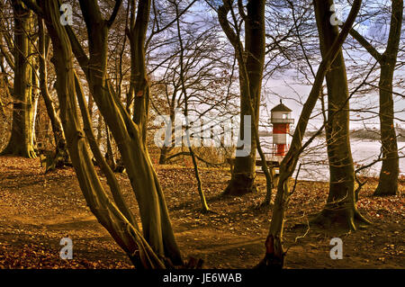 Deutschland, Hamburg, Risse, Holz, Bäume, Elbufer, Leuchtturm, Stockfoto