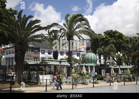 Portugal, Madeira, Funchal, promenade, Stockfoto