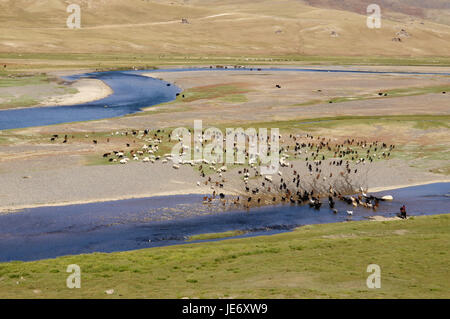 Mongolei, Zentralasien, Ovorkhangai Provinz, historische Orkhon-Tal, UNESCO-Welterbe, Orkhon Fluss, Schafherde, Weide, Stockfoto