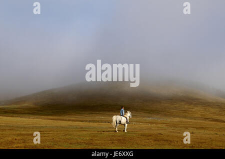 Mongolei, Zentralasien, Provinz Arkhangai, junge auf dem weißen Pferd, Landschaft, Nebel,