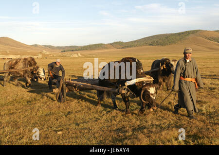 Mongolei, Zentralasien, Provinz Arkhangai, Nomaden, Yaks, Kutschen, Stockfoto