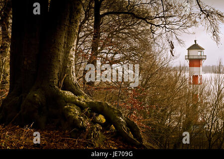 Deutschland, Hamburg, Risse, Holz, Baum, Elbufer, Leuchtturm, Stockfoto