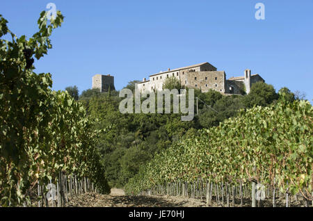 Europa, Italien, Toskana, Val d ' Orcia, Blick auf die Burg Borgo Tu Vignoni, Stockfoto