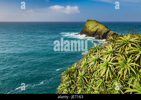 An der felsigen Küste in Sao Rogue auf Sao Miguel Island. Die Insel Sao Miguel ist Teil der Azoren Archipel, Portugal Stockfoto