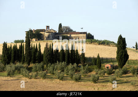 Italien, Toskana, Arno, Tal, Cerreto Guidi Stockfoto