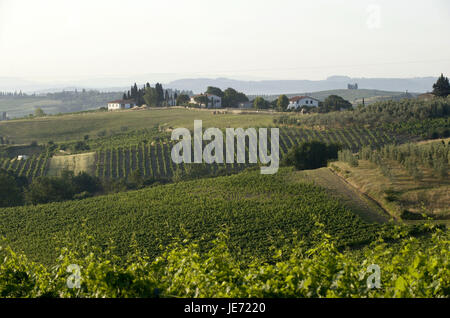 Italien, Toskana, Arno Tal, Cerreto Guidi, Blick über die Landschaft, Stockfoto