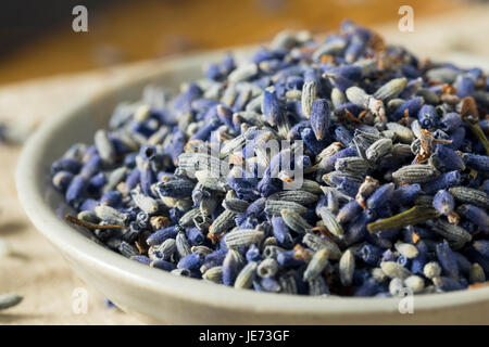 Rohe organische trocken Lila Lavendel Gewürz in eine Schüssel geben Stockfoto