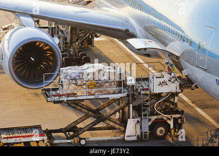 Japan, Tokio Narita International Airport, Landung Feld, Flughafen, Flugzeug, laden im Außenbereich, Reisen, Reise durch die Luft, Urlaub, Ankunft, Abflug, Entlastung, Menschen, Arbeitnehmer, Mann, Besetzung, Stockfoto