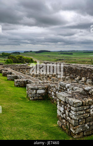 Römische Ruinen, Gehöfte römisches Kastell, Hadrianswall, Northumberland, England, Vereinigtes Königreich Stockfoto