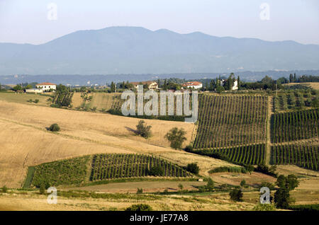 Italien, Toskana, Arno-Tal, Cerreto Guidi, Anzeigen über Weinbau-Region, Stockfoto