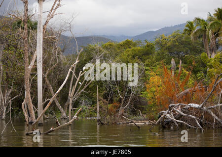 Salz See Lago Enriquillo, Nationalpark Isla Cabritos, der Dominikanischen Republik, Stockfoto